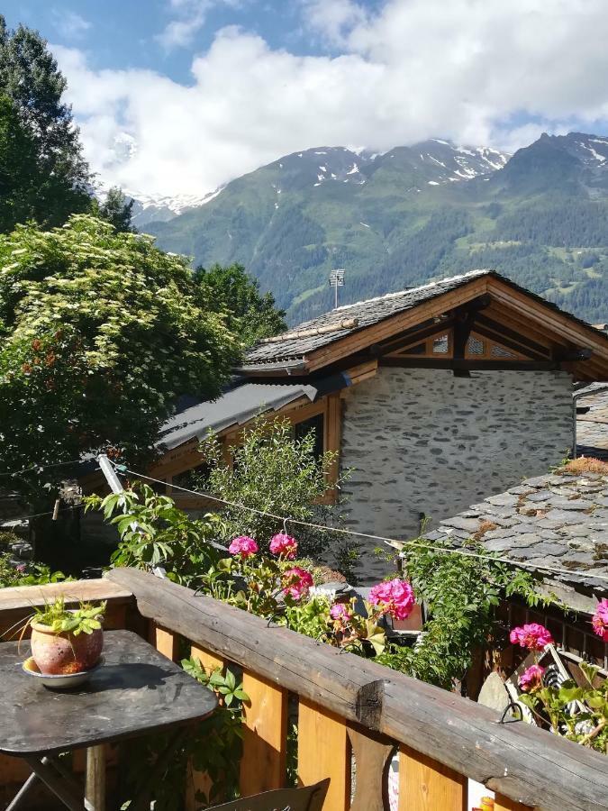 Chalet Bois D'Antan Bed & Breakfast ซานต์-โฟย์-ตาฮองเตส ภายนอก รูปภาพ